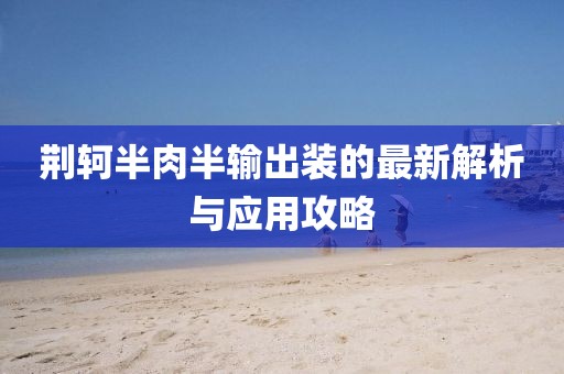 荊軻半肉半輸出裝的最新解析與應(yīng)用攻略
