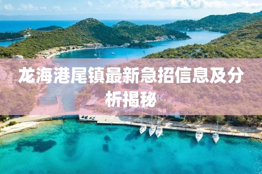 龍海港尾鎮(zhèn)最新急招信息及分析揭秘