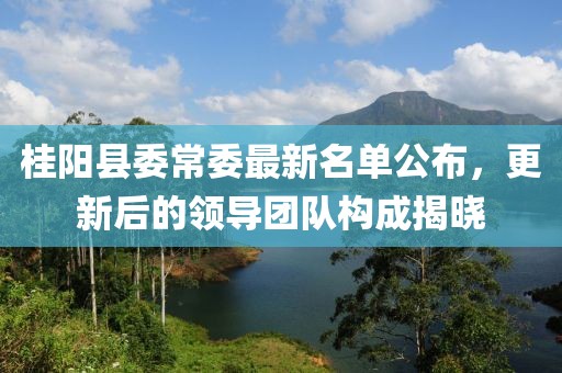 桂陽縣委常委最新名單公布，更新后的領導團隊構成揭曉