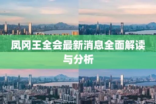 鳳岡王全會(huì)最新消息全面解讀與分析