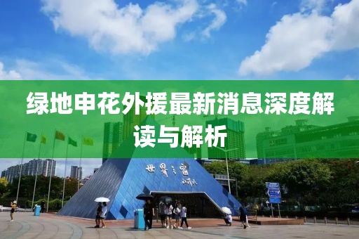 綠地申花外援最新消息深度解讀與解析