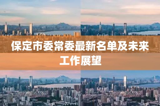 保定市委常委最新名單及未來工作展望