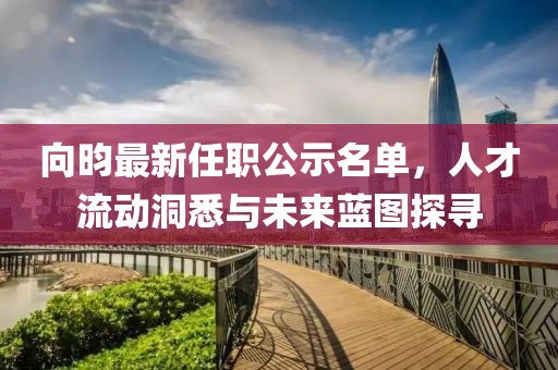 向昀最新任職公示名單，人才流動洞悉與未來藍(lán)圖探尋