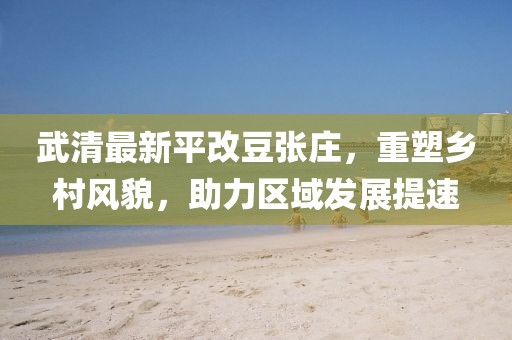 武清最新平改豆張莊，重塑鄉(xiāng)村風(fēng)貌，助力區(qū)域發(fā)展提速