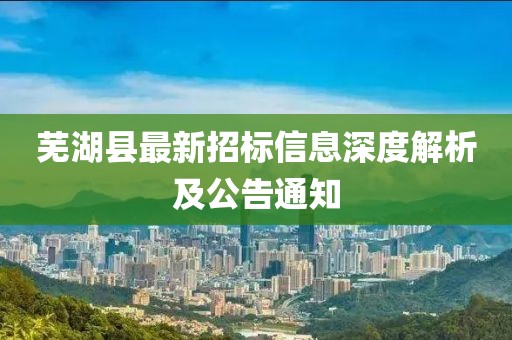 蕪湖縣最新招標(biāo)信息深度解析及公告通知