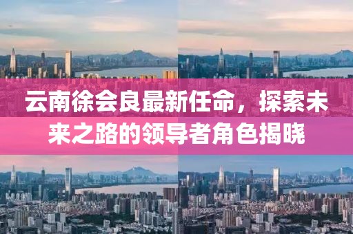 云南徐會良最新任命，探索未來之路的領導者角色揭曉