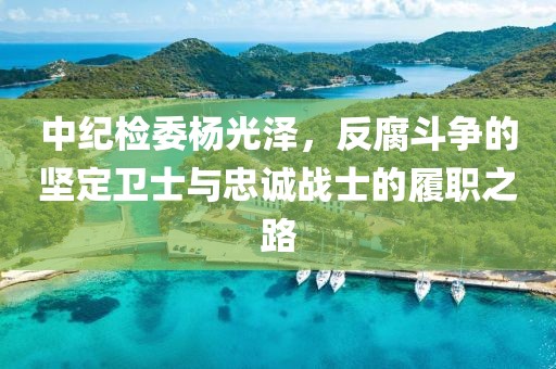 中紀(jì)檢委楊光澤，反腐斗爭的堅定衛(wèi)士與忠誠戰(zhàn)士的履職之路