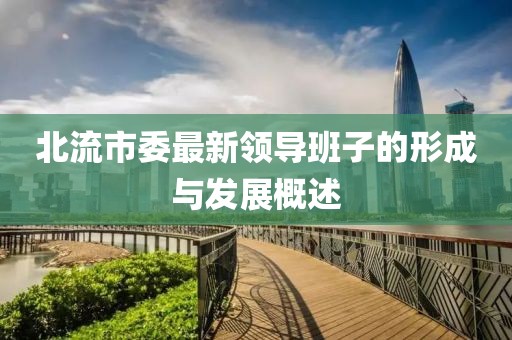 北流市委最新領(lǐng)導(dǎo)班子的形成與發(fā)展概述