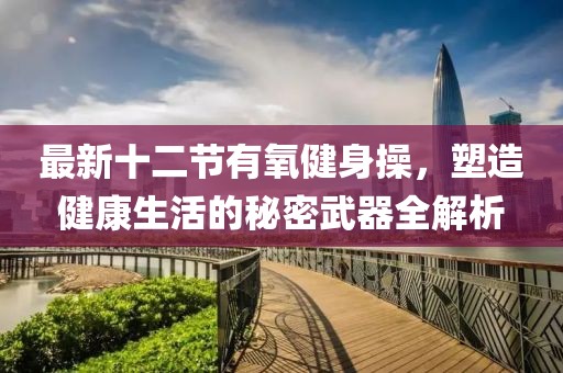 最新十二節(jié)有氧健身操，塑造健康生活的秘密武器全解析