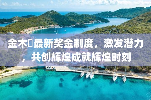 金木芃最新獎(jiǎng)金制度，激發(fā)潛力，共創(chuàng)輝煌成就輝煌時(shí)刻
