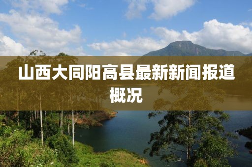 山西大同陽高縣最新新聞報道概況