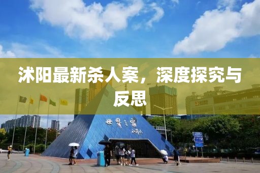 沭陽最新殺人案，深度探究與反思
