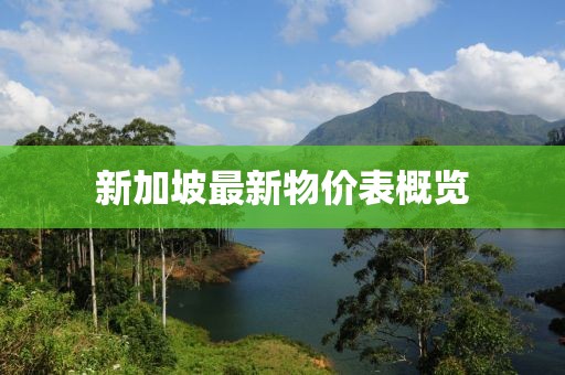 新加坡最新物價(jià)表概覽