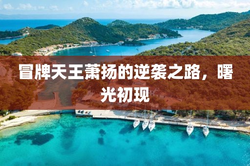 冒牌天王蕭揚(yáng)的逆襲之路，曙光初現(xiàn)