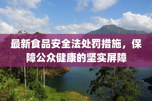 最新食品安全法處罰措施，保障公眾健康的堅實屏障
