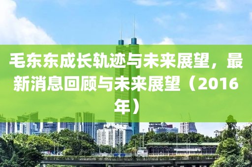 毛東東成長軌跡與未來展望，最新消息回顧與未來展望（2016年）