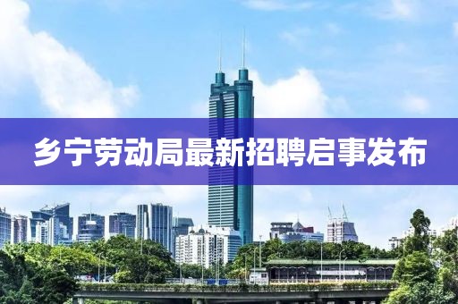 鄉(xiāng)寧勞動局最新招聘啟事發(fā)布