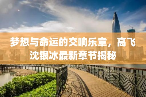 夢想與命運(yùn)的交響樂章，高飛沈銀冰最新章節(jié)揭秘