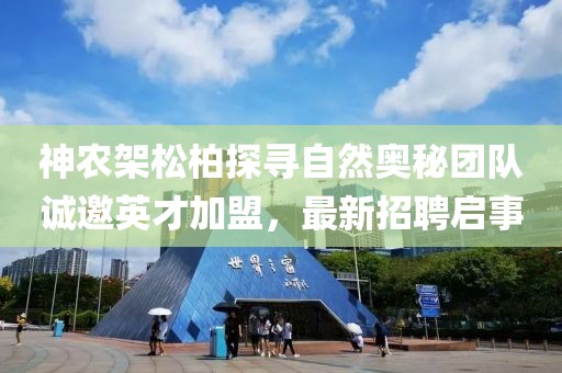 神農架松柏探尋自然奧秘團隊誠邀英才加盟，最新招聘啟事