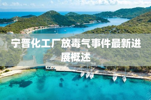 寧晉化工廠放毒氣事件最新進(jìn)展概述