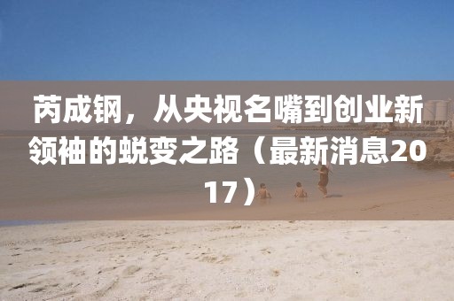 芮成鋼，從央視名嘴到創(chuàng)業(yè)新領(lǐng)袖的蛻變之路（最新消息2017）