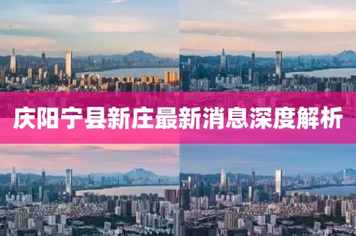 慶陽寧縣新莊最新消息深度解析