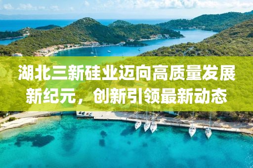湖北三新硅業(yè)邁向高質(zhì)量發(fā)展新紀元，創(chuàng)新引領(lǐng)最新動態(tài)