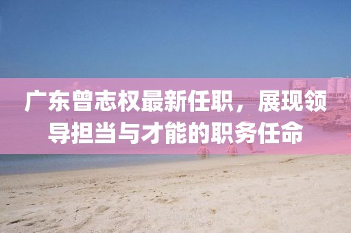 廣東曾志權最新任職，展現(xiàn)領導擔當與才能的職務任命