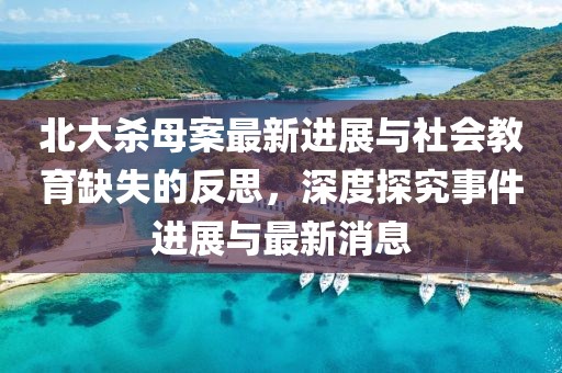 北大殺母案最新進(jìn)展與社會教育缺失的反思，深度探究事件進(jìn)展與最新消息