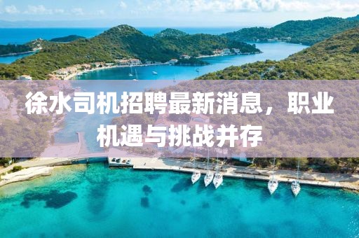 徐水司機招聘最新消息，職業(yè)機遇與挑戰(zhàn)并存