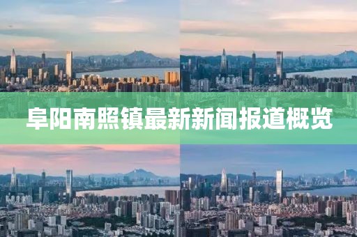阜陽南照鎮(zhèn)最新新聞報道概覽