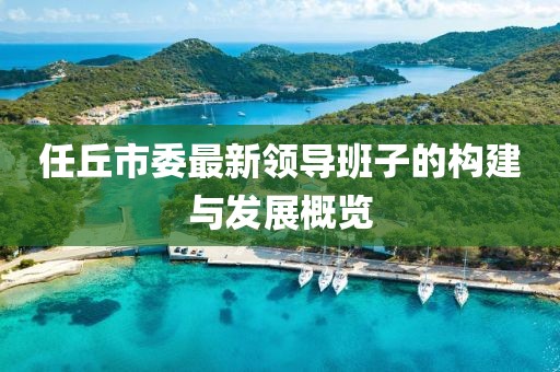 任丘市委最新領導班子的構建與發(fā)展概覽