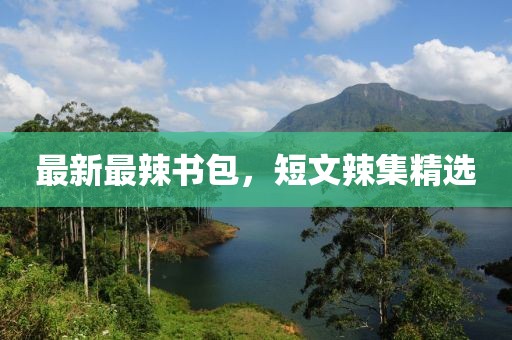 最新最辣書包，短文辣集精選