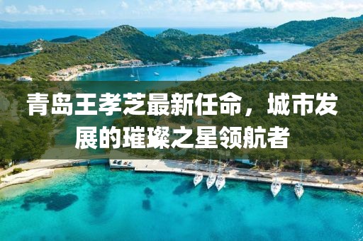 青島王孝芝最新任命，城市發(fā)展的璀璨之星領航者