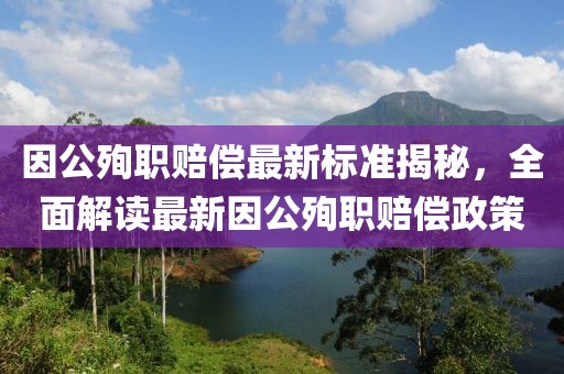 因公殉職賠償最新標(biāo)準(zhǔn)揭秘，全面解讀最新因公殉職賠償政策