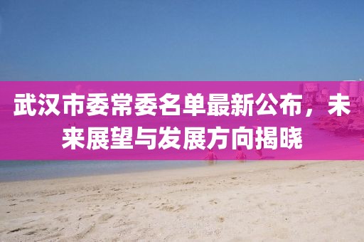 武漢市委常委名單最新公布，未來展望與發(fā)展方向揭曉
