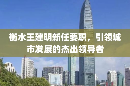 衡水王建明新任要職，引領城市發(fā)展的杰出領導者