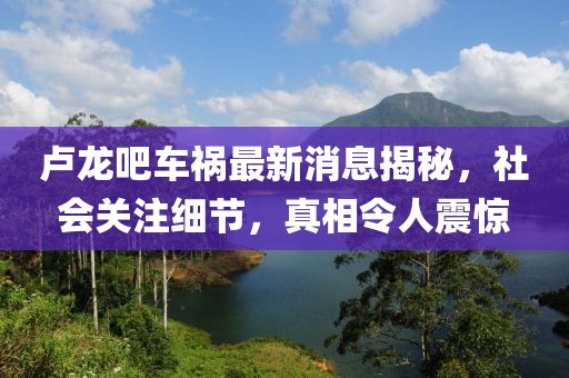 盧龍吧車禍最新消息揭秘，社會(huì)關(guān)注細(xì)節(jié)，真相令人震驚