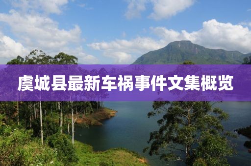 虞城縣最新車禍?zhǔn)录募庞[
