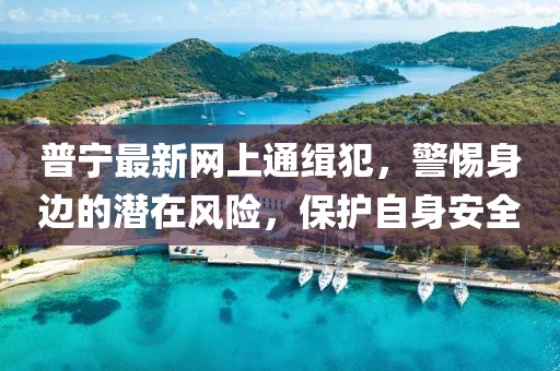 普寧最新網(wǎng)上通緝犯，警惕身邊的潛在風(fēng)險(xiǎn)，保護(hù)自身安全