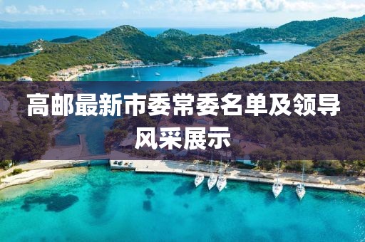 高郵最新市委常委名單及領(lǐng)導(dǎo)風(fēng)采展示