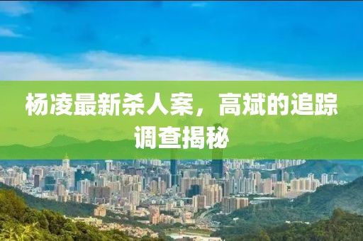 楊凌最新殺人案，高斌的追蹤調(diào)查揭秘