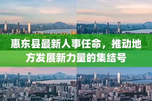惠東縣最新人事任命，推動地方發(fā)展新力量的集結(jié)號