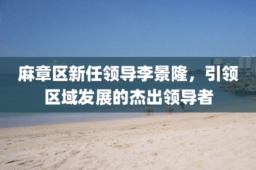 麻章區(qū)新任領(lǐng)導(dǎo)李景隆，引領(lǐng)區(qū)域發(fā)展的杰出領(lǐng)導(dǎo)者