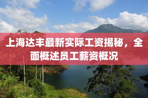 上海達(dá)豐最新實際工資揭秘，全面概述員工薪資概況