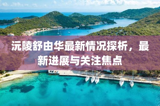 沅陵舒由華最新情況探析，最新進展與關(guān)注焦點