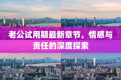 老公試用期最新章節(jié)，情感與責任的深度探索