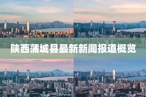 陜西蒲城縣最新新聞報(bào)道概覽