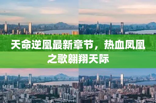 肆戰(zhàn)作王 第20頁