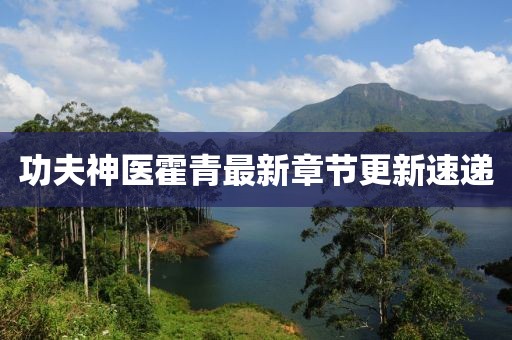 功夫神醫(yī)霍青最新章節(jié)更新速遞